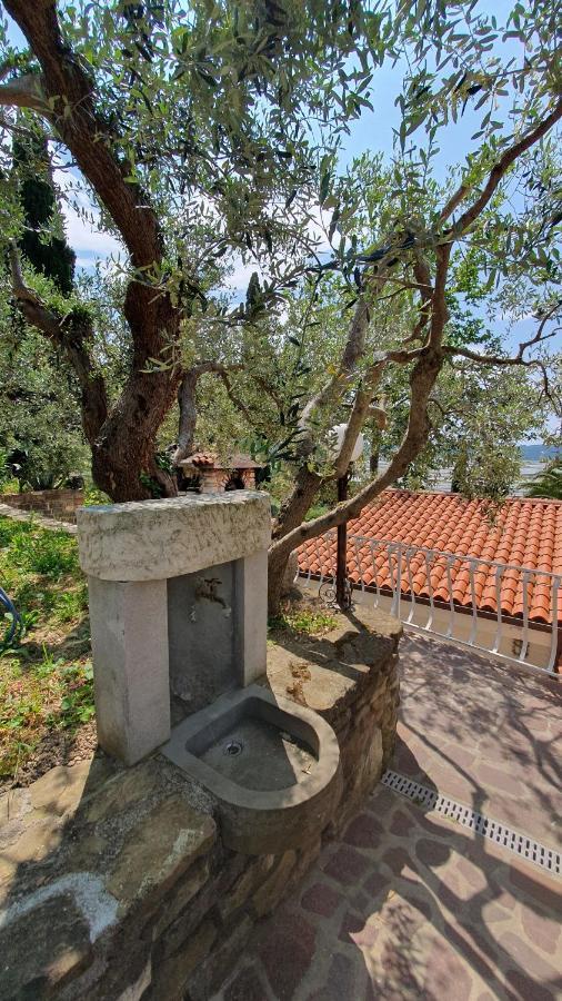 Apartment Laurus Portoroz Exterior photo