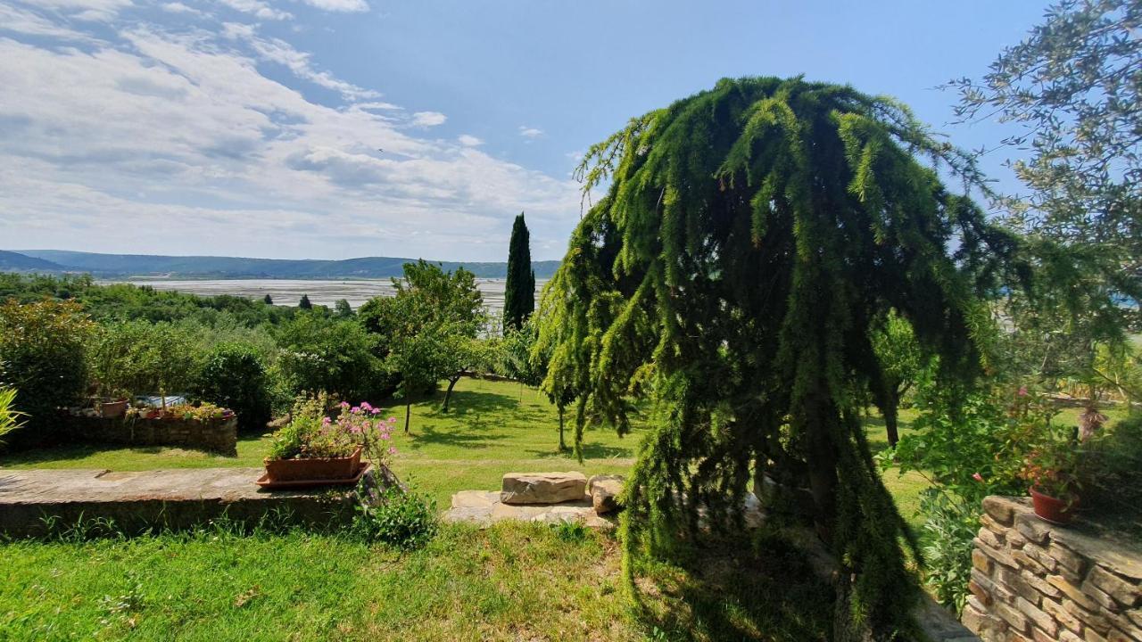 Apartment Laurus Portoroz Exterior photo